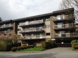 Commercial Painting