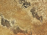 Textures